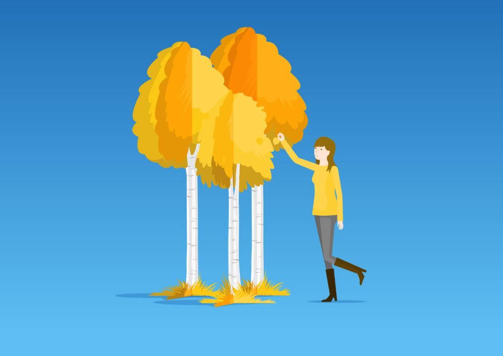 Animated Explainer Videos